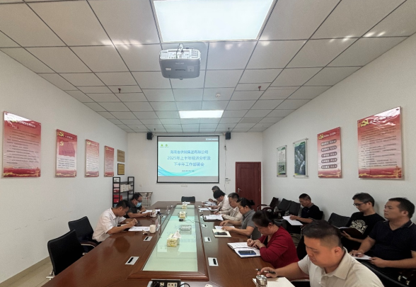 海南省供銷集團(tuán)召開2025年上半年經(jīng)濟(jì)分析會 部署下半年重點(diǎn)工作